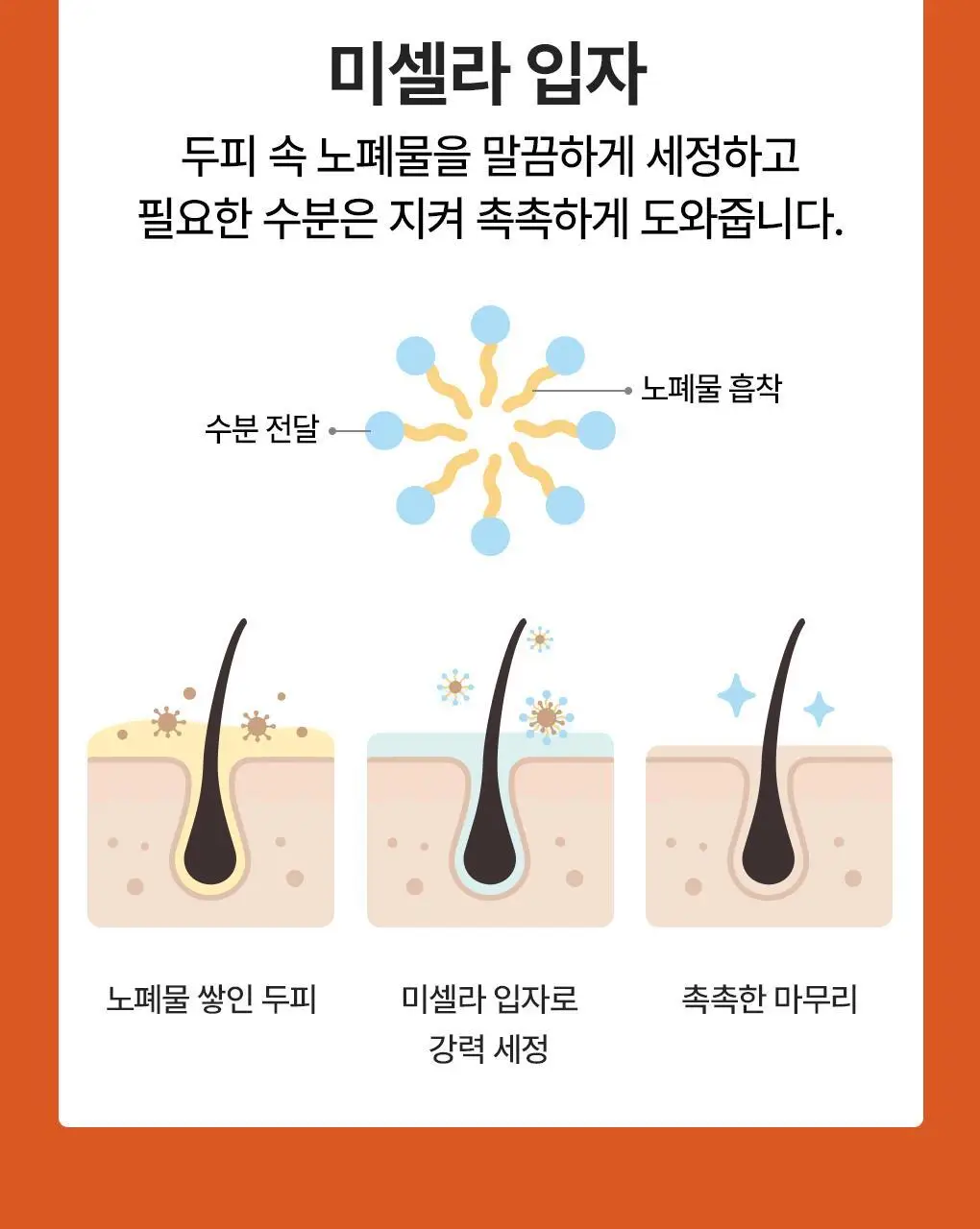[토탈두피케어] 닥터방기원 탈모증상완화 맥주효모 샴푸 500ml 상세페이지 13